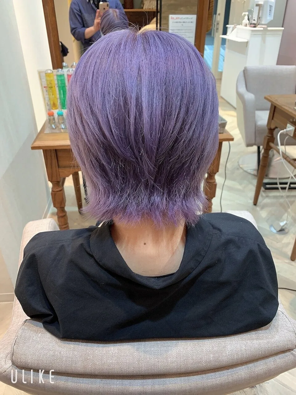 パープルシルバー×ウルフ